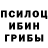 Псилоцибиновые грибы прущие грибы dambgin123 Saga