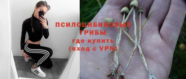 первитин Болотное