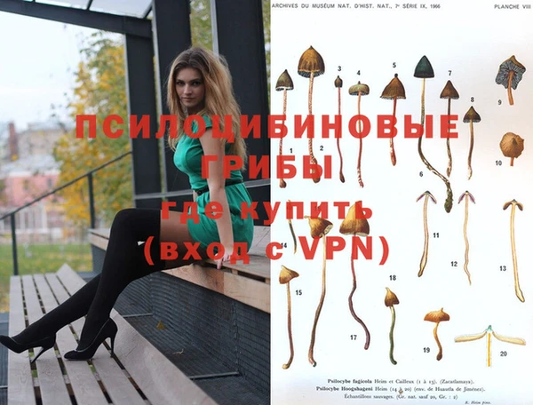 соль ск Нягань