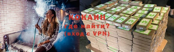 сатива Новозыбков