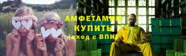 сатива Новозыбков