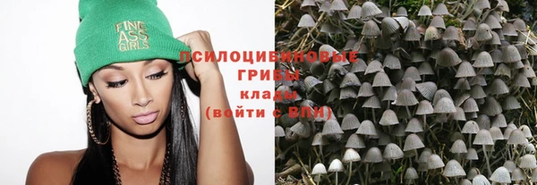 круглые Новодвинск