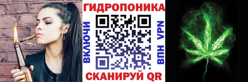Купить  Кашира  Бошки марихуана Amnesia 